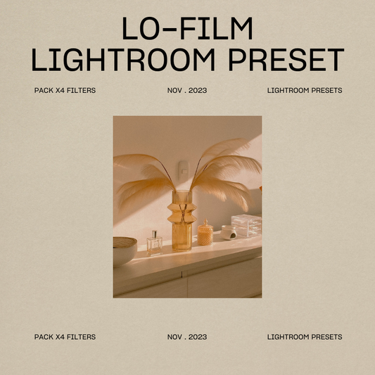 Lo-Film Lightroom Mobile Preset